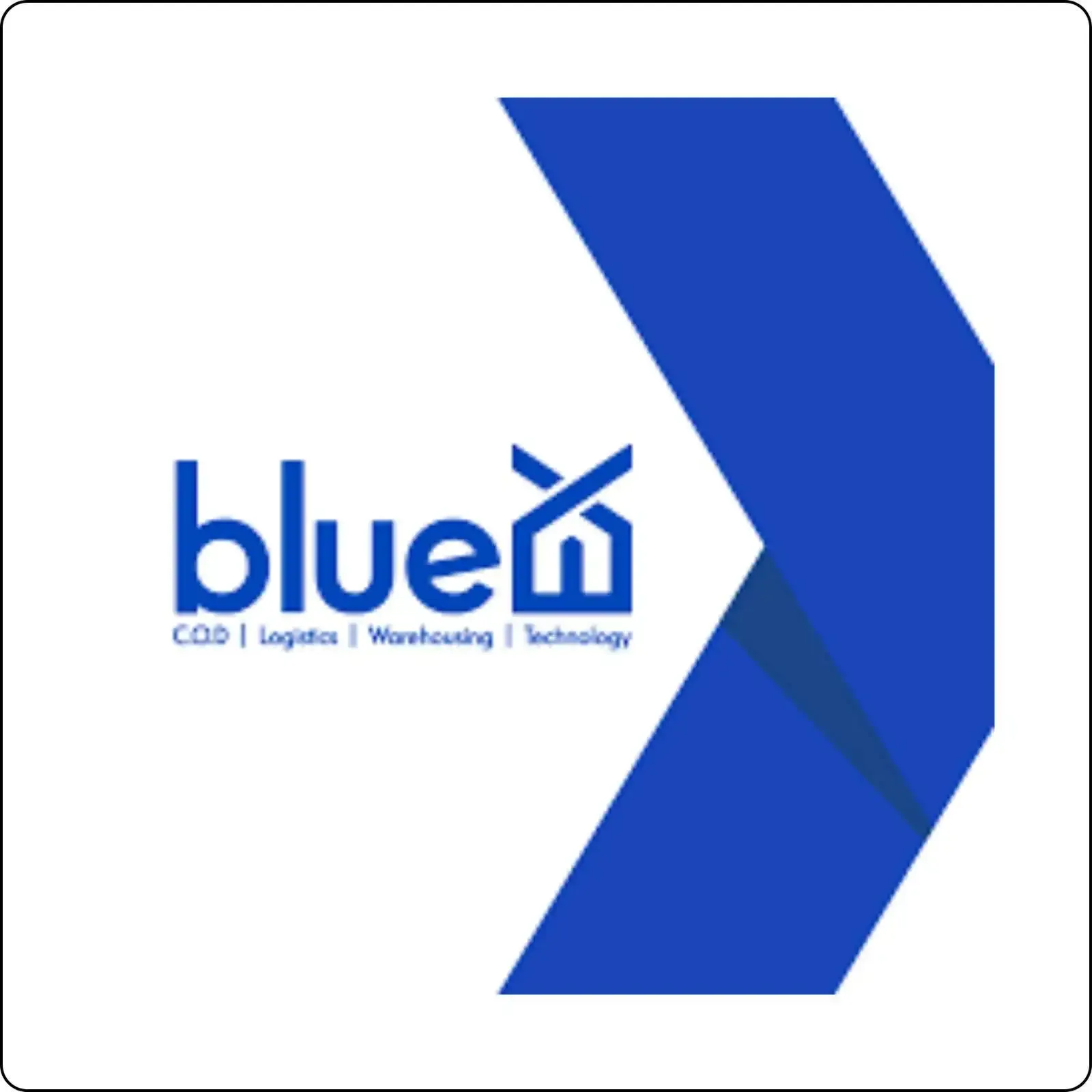 Blue Ex logo